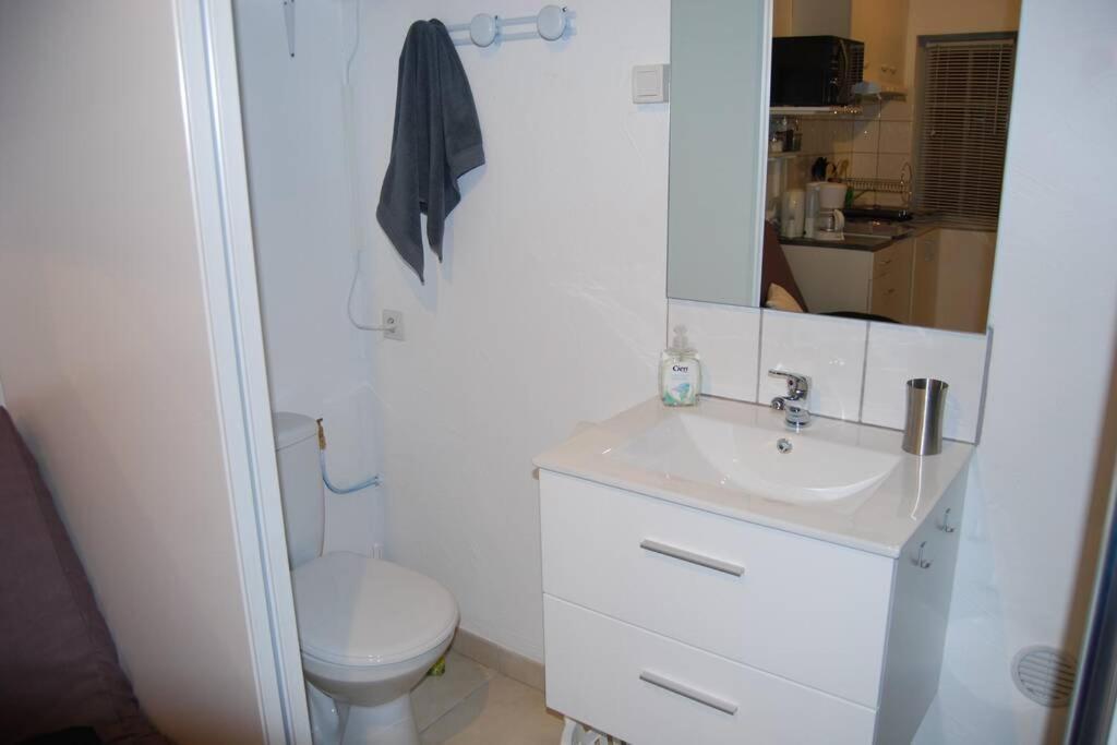 Willa L'Atelier A 100 M De Tarbes Sud Laloubere Zewnętrze zdjęcie